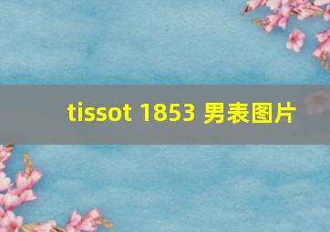 tissot 1853 男表图片